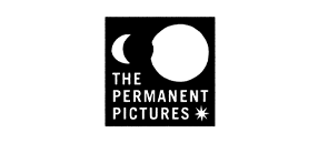 THE PERMANENT PICTURES
